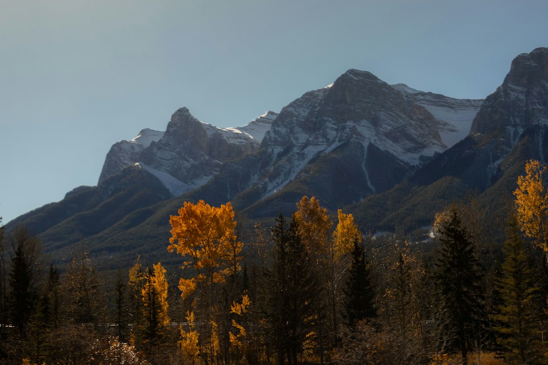 Hotels in Calgary