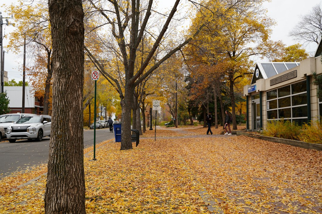 Edmonton