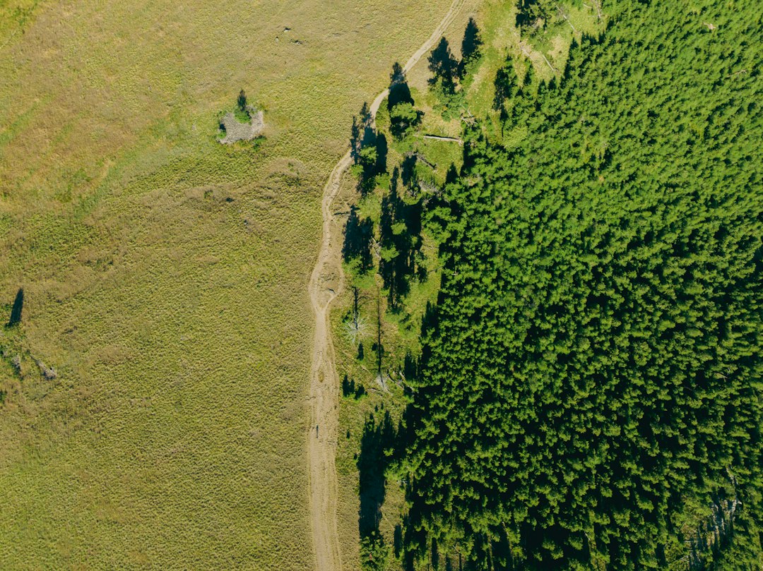 Missoula