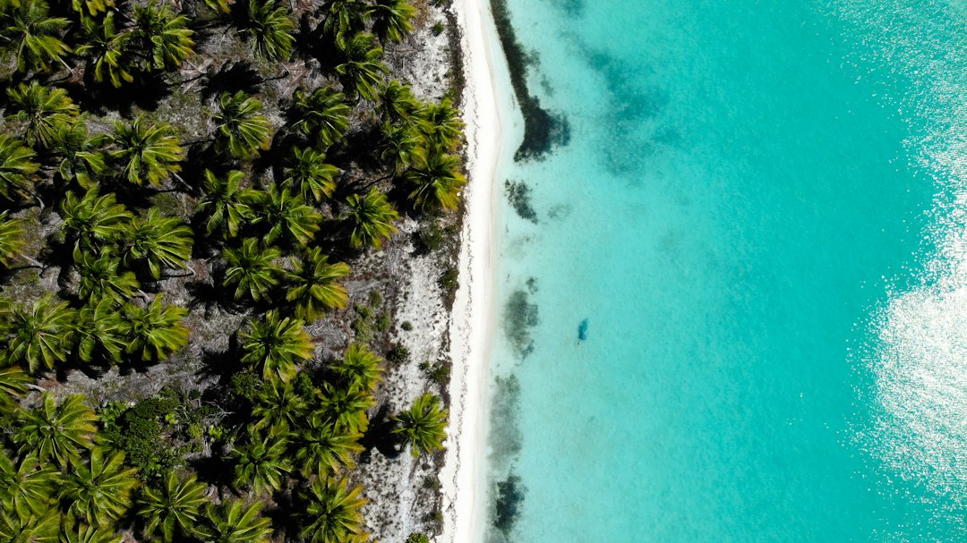 Hotels in Punta Cana