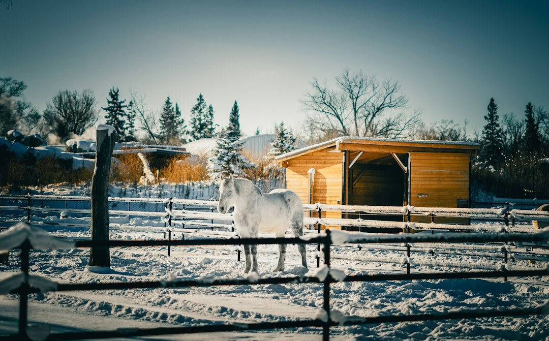 Hotels in Winnipeg